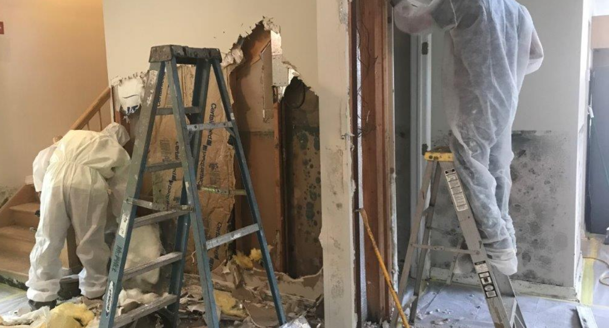Mold Certification Every NY Contractor Needs